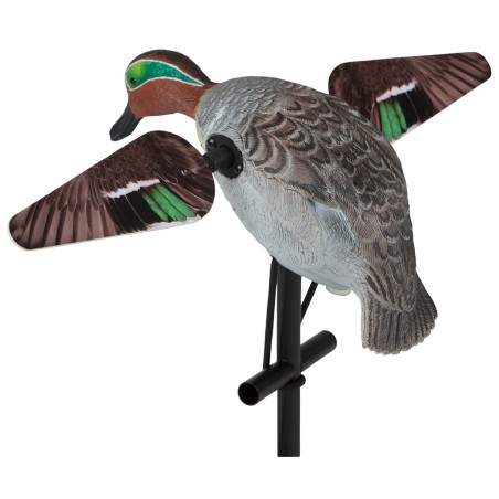 MOTORIZED MALE TEAL MOLD WITH SWIVEL WINGS