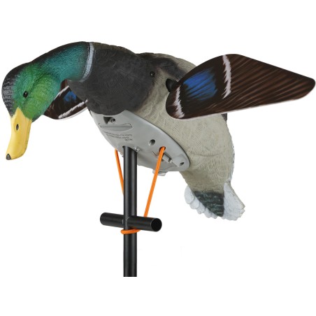 MOTORIZED MOLD WITH MALE SWIVEL WINGS