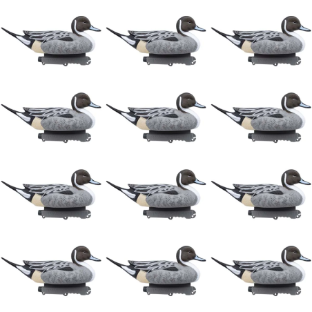 SET DA 12PZ DI STAMPI CODONE MASCHIO