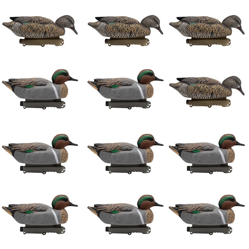 SET OF 12PCS OF MALE AND FEMALE TEAL MOLDS