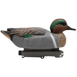 SET OF 12PCS OF MALE AND FEMALE TEAL MOLDS