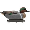 SET OF 12PCS OF MALE AND FEMALE TEAL MOLDS