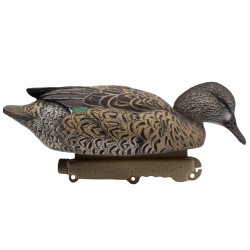 SET OF 12PCS OF MALE AND FEMALE TEAL MOLDS