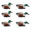 SET DA 6PZ DI STAMPI MESTOLONE MASCHIO PREMIUM