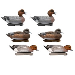 SET OF 6PCS OF MALE AND FEMALE WIGEON MOLDS
