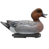 SET OF 6PCS OF MALE AND FEMALE WIGEON MOLDS