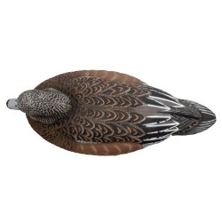 SET OF 6PCS OF MALE AND FEMALE WIGEON MOLDS