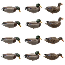 SET OF 12PCS OF GERMANO MALE AND FEMALE FIELD MOULDS