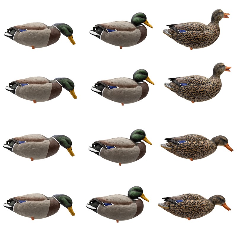 SET OF 12PCS OF GERMANO MALE AND FEMALE FIELD MOULDS