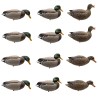 SET OF 12PCS OF GERMANO MALE AND FEMALE FIELD MOULDS