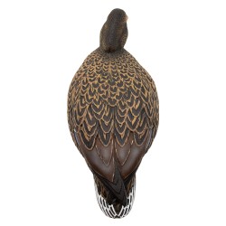 SET OF 12PCS OF GERMANO MALE AND FEMALE FIELD MOULDS
