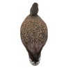 SET OF 12PCS OF GERMANO MALE AND FEMALE FIELD MOULDS