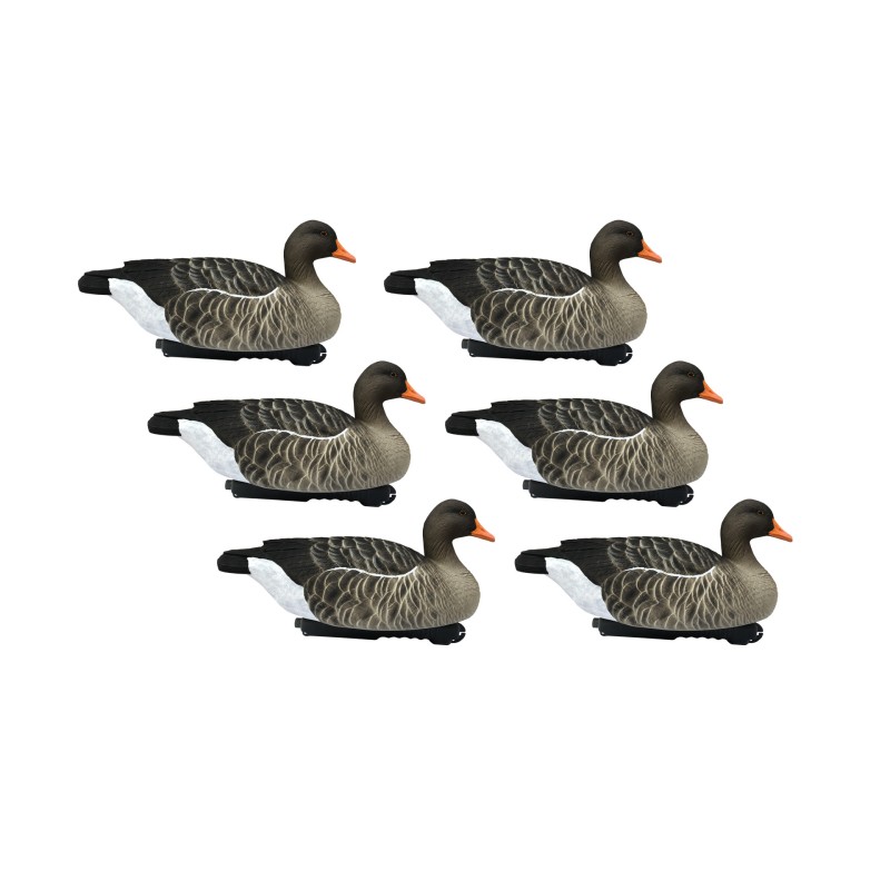 SET OF 6PCS OF WILD GOOSE MOLDS