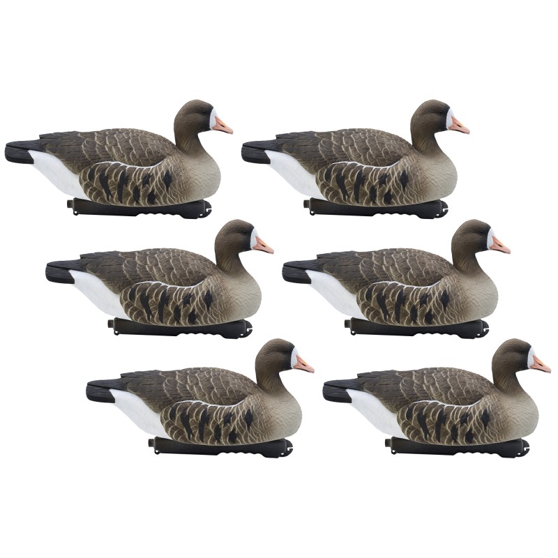 SET OF 6PCS OF LOBARDELLA GOOSE MOLDS