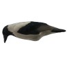 SET DA 3PZ DI STAMPI CORNACCHIA GRIGIA FLOCKED