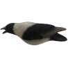 SET OF 3PCS OF FLOCKED CROW MOULDS