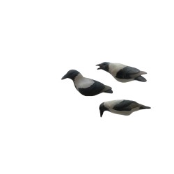 SET OF 3PCS OF CROW MOULDS