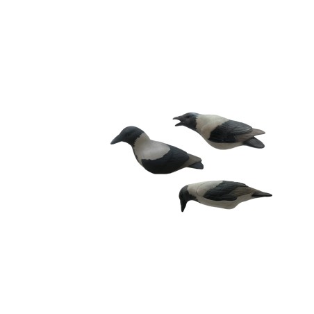 SET OF 3PCS OF CROW MOULDS