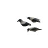 SET OF 3PCS OF CROW MOULDS