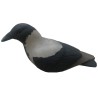 SET OF 3PCS OF CROW MOULDS