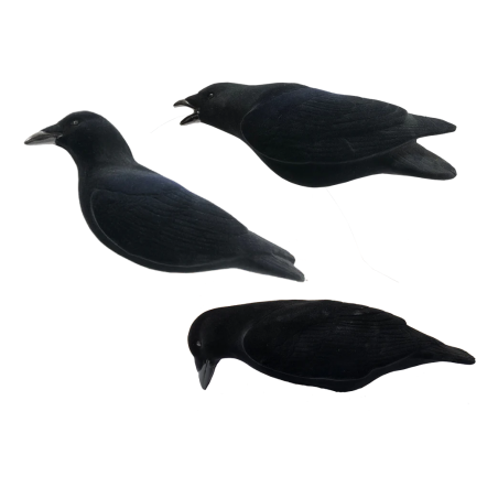 SET OF 3PCS OF CORVO FLOCKED MOLDS
