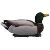 SET OF 6PCS OF GERMANO MALE AND FEMALE FLOCKED MOULDS