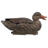 SET OF 6PCS OF GERMANO MALE AND FEMALE FLOCKED MOULDS