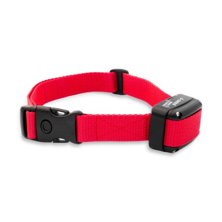 ADDITIONAL EDUCATIONAL COLLAR FOR D-CONTROL