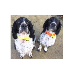 CAMPANA PER CANI GRELOT
