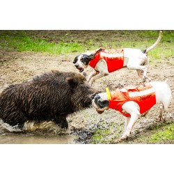 GILET PROTETTIVO PER CANI PROTECT ECO