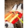 GUINZAGLIO SEMPLICE IN PVC X-TREME