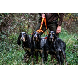GUINZAGLIO PIATTO IN POLIESTERE 120CM HUNTER