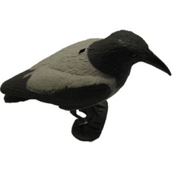 GRAY CROW MOLD