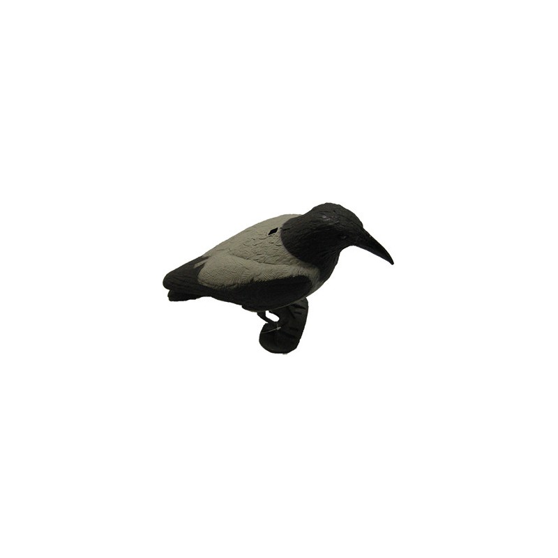 GRAY CROW MOLD