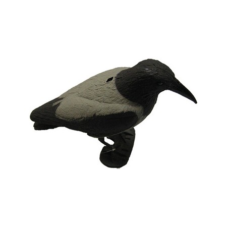 GRAY CROW MOLD