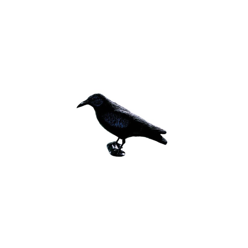 STAMPO CORVO