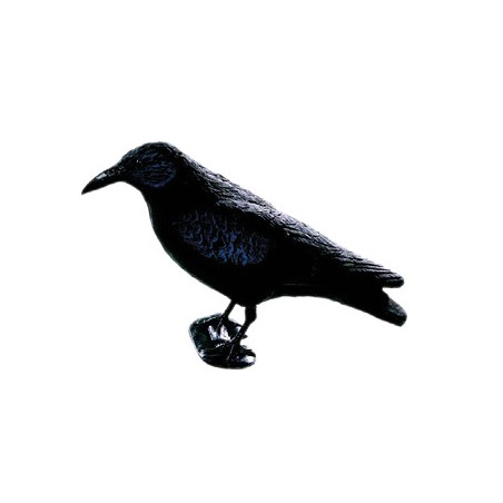 RAVEN MOLD