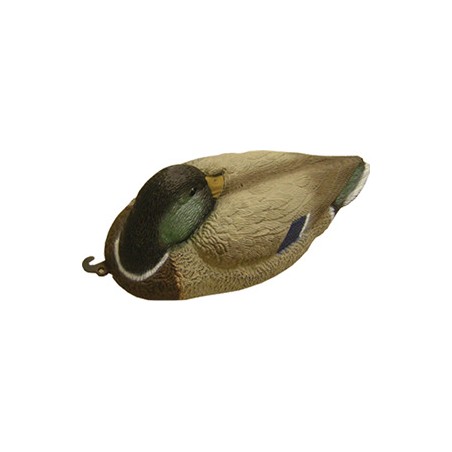 MALE MALLARD MOLD AT REST