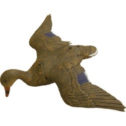 MALLARD MOLD FEMALE OPEN WINGS