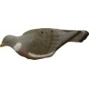 SHELL WOOD PIGEON MOLD