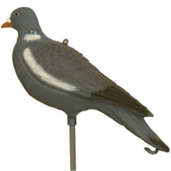 WOOD PIGEON MOLD