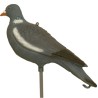 WOOD PIGEON MOLD