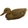 MALLARD MOLD FEMALE