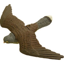 STAMPO FALCO ALI APERTE