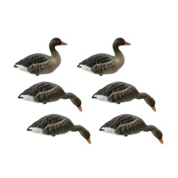 SET DA 6PZ DI STAMPO OCA SELVATICA