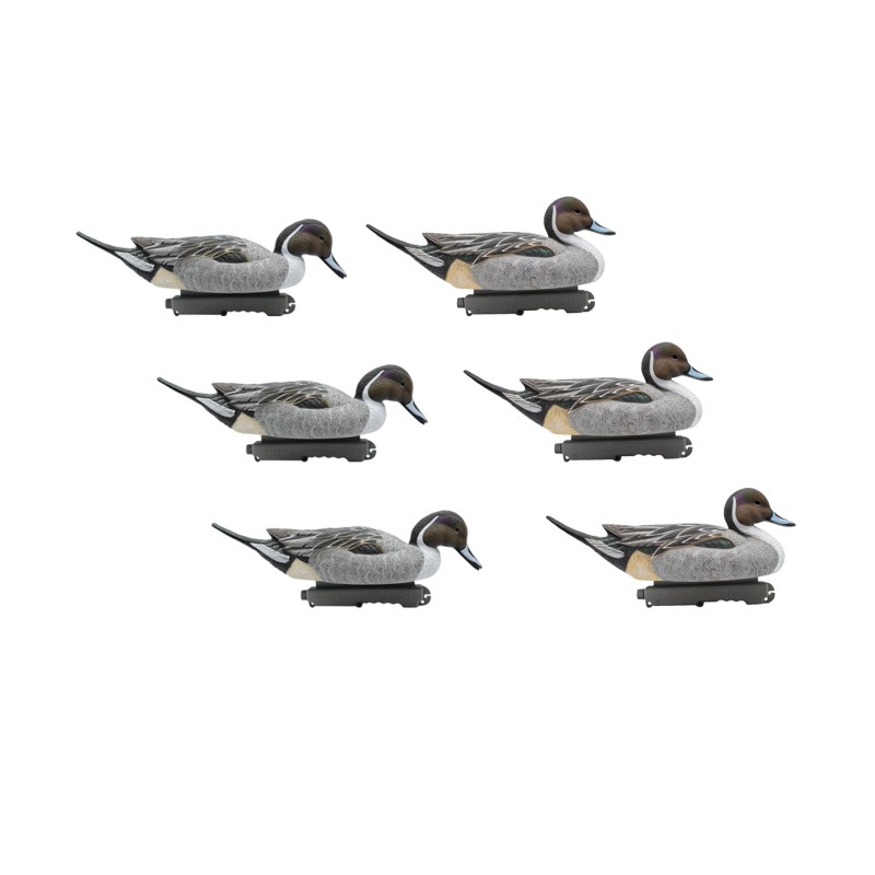 SET OF 6PCS OF MALE PINTAIL MOLD