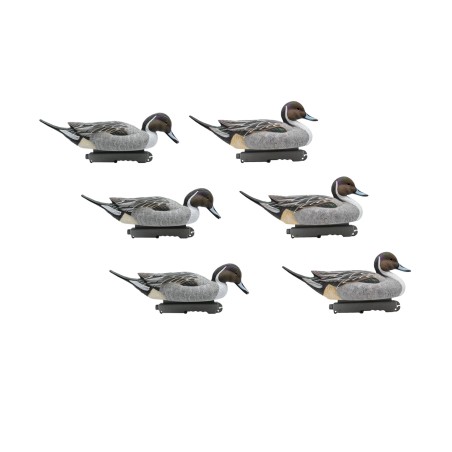 SET DA 6PZ DI STAMPO CODONE MASCHIO