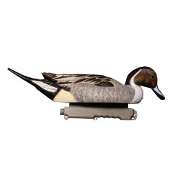 SET OF 6PCS OF MALE PINTAIL MOLD