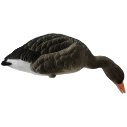 SET DA 6PZ DI STAMPO OCA SELVATICA FLOCKED