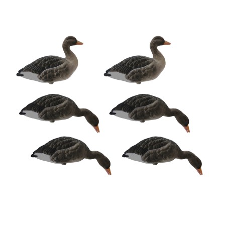 SET DA 6PZ DI STAMPO OCA SELVATICA FLOCKED